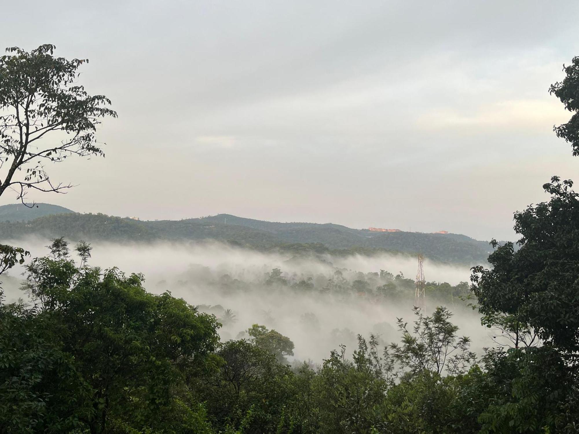 Suvarna Eco Village Мадікері Екстер'єр фото